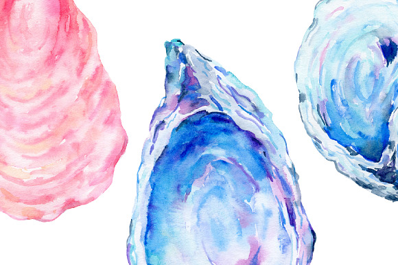 Watercolor Clipart Oyster Shell in Illustrations - product preview 3