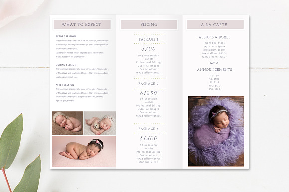 Newborn Trifold Brochure Flyer in Brochure Templates - product preview 2