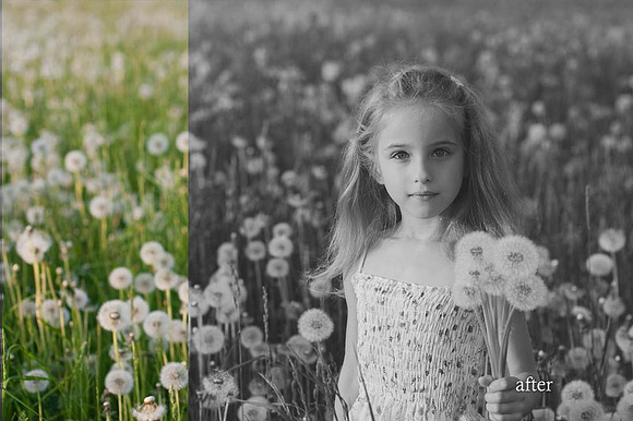 16 Awesome B & W Portrait Presets in Add-Ons - product preview 2