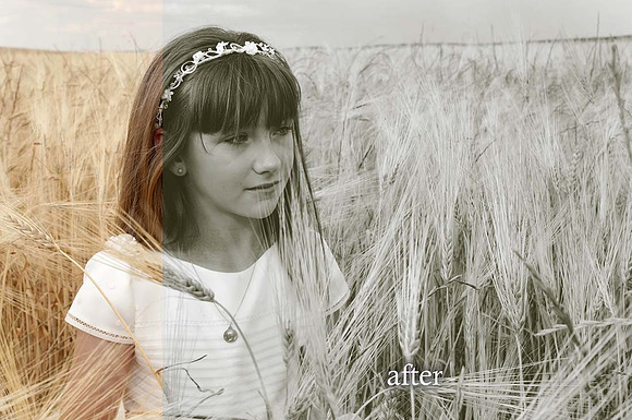 14 B & W Monochrome Presets in Add-Ons - product preview 4