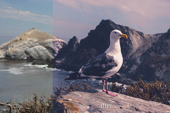 10 Stunning Matte Landscape Presets in Add-Ons - product preview 1