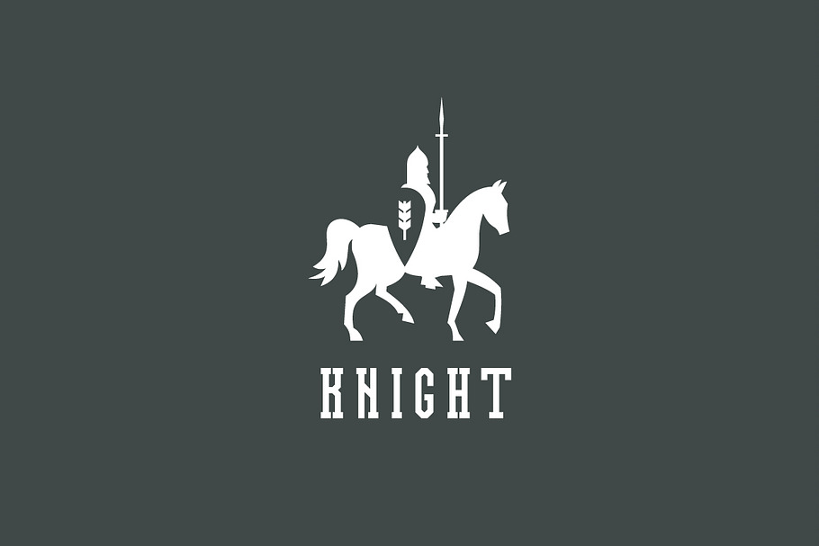 Knight in Logo Templates - product preview 8