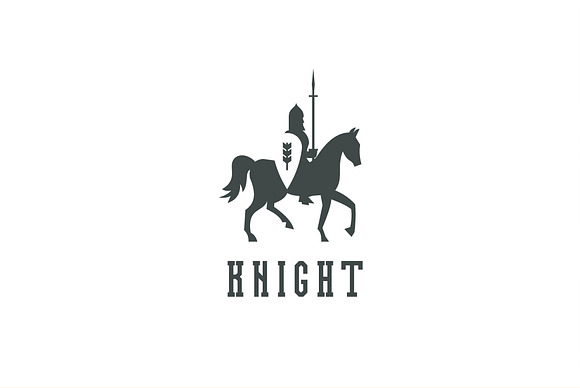 Knight in Logo Templates - product preview 1