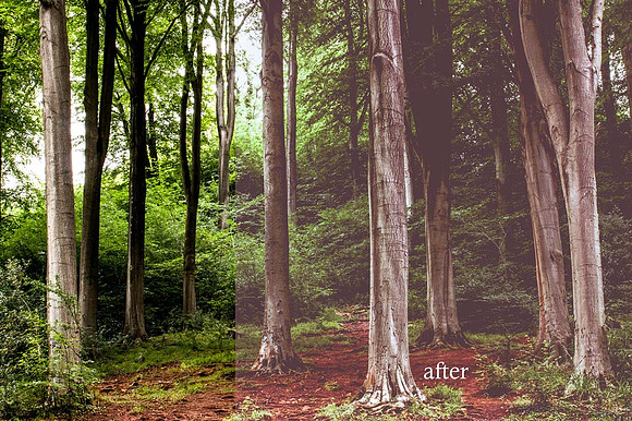 10 Misty Landscape Presets in Add-Ons - product preview 1