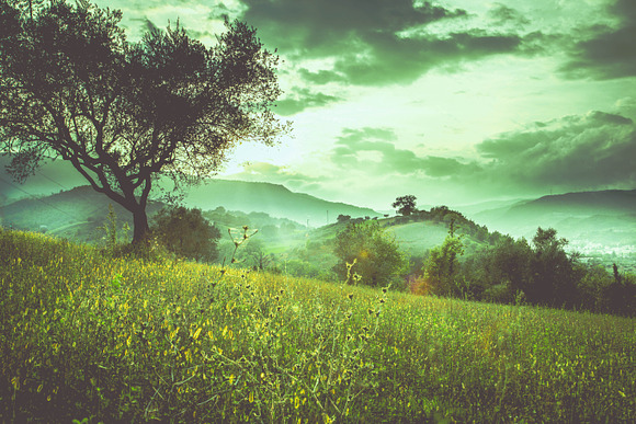 10 Misty Landscape Presets in Add-Ons - product preview 5