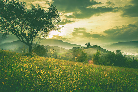 10 Misty Landscape Presets in Add-Ons - product preview 8