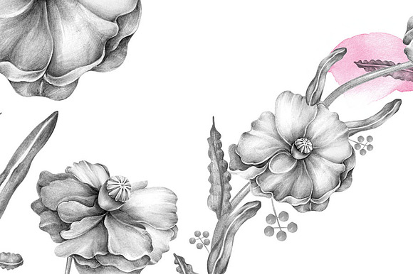 "Love" floral collection in Illustrations - product preview 4