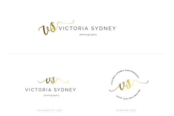 Ladyboss Premade Branding Logos in Logo Templates - product preview 4