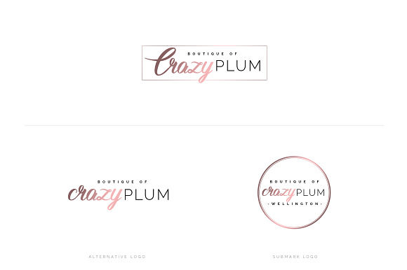 Ladyboss Premade Branding Logos in Logo Templates - product preview 20