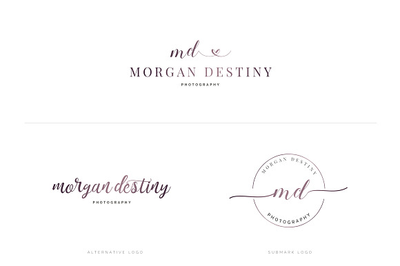 Ladyboss Premade Branding Logos in Logo Templates - product preview 30
