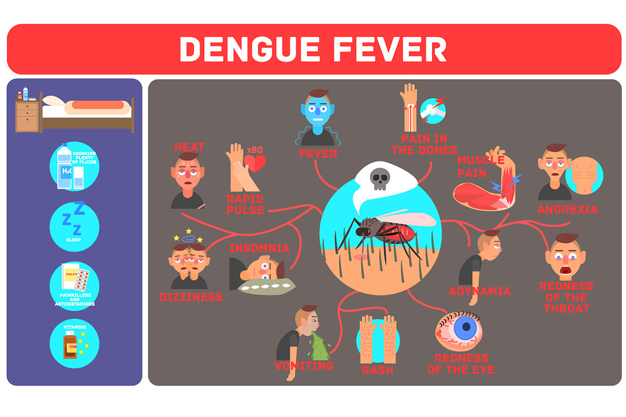 Dengue Fever Infographics in Illustrations - product preview 8