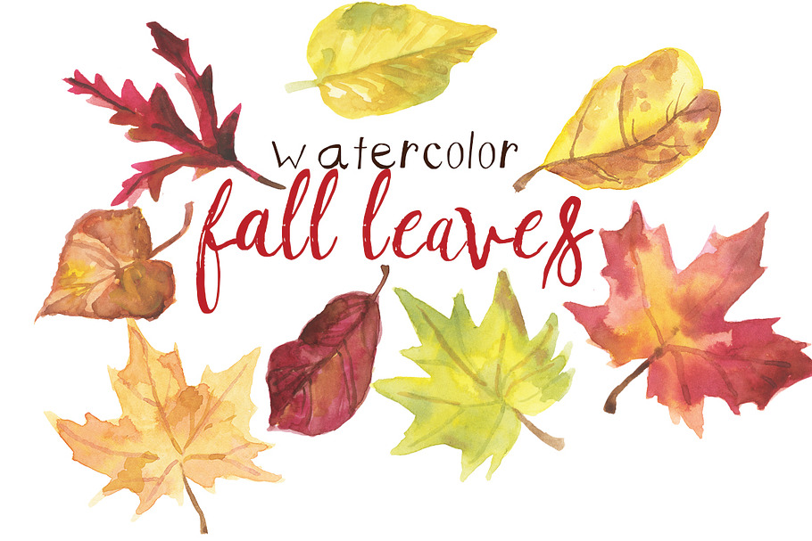 Watercolor Fall Leaves in Illustrations - product preview 8