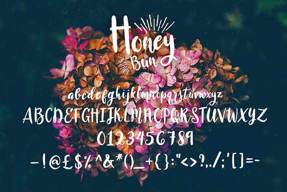 Honey Bun - Typeface in Display Fonts - product preview 1