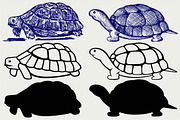 Turtle, side view SVG