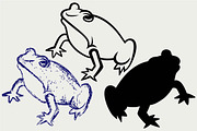 Swamp toad SVG