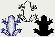 Marsh frog SVG