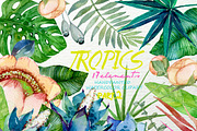 Tropics Watercolor Floral Clipart 