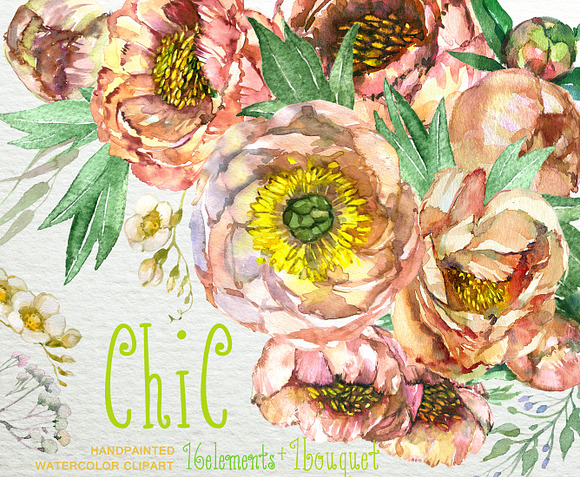 Peach Peonies Watercolor ClipArt  in Objects - product preview 1