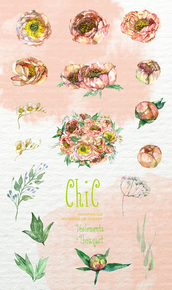 Peach Peonies Watercolor ClipArt  in Objects - product preview 3