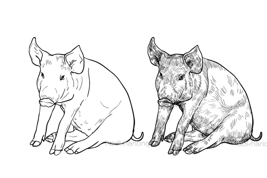 Drawing of pig in Illustrations - product preview 8