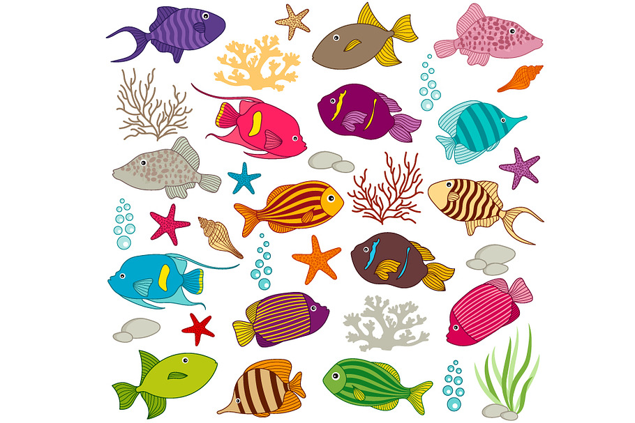 Colourful Fish Set in Illustrations - product preview 8