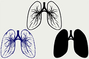 Human lungs SVG