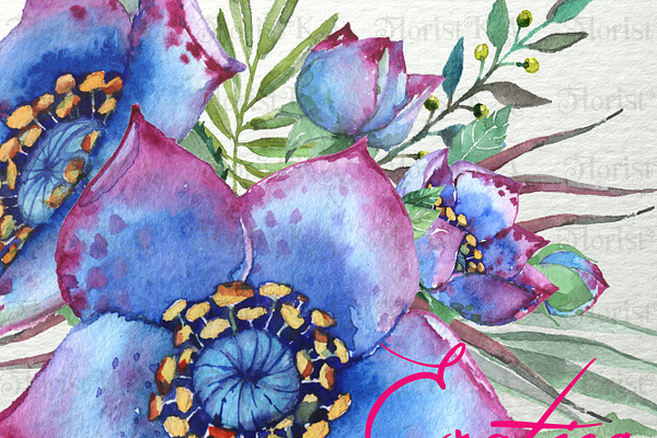 Exotica - Floral Watercolor ClipArt 
