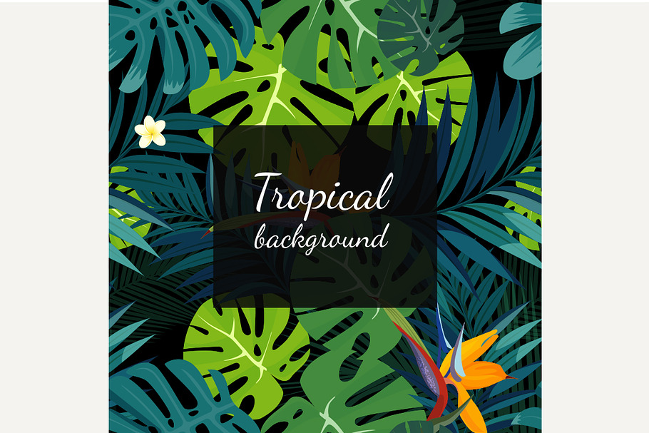 Colorful tropical background in Illustrations - product preview 8