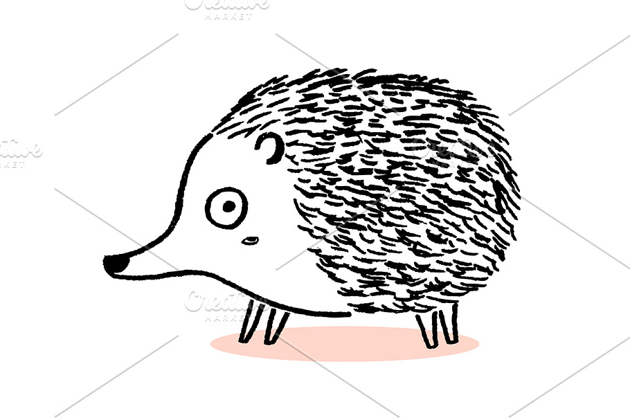 Hedgehog sketch in Illustrations - product preview 8