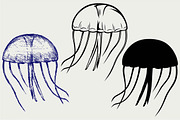 Jellyfish SVG