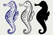 Cartoon Seahorse SVG