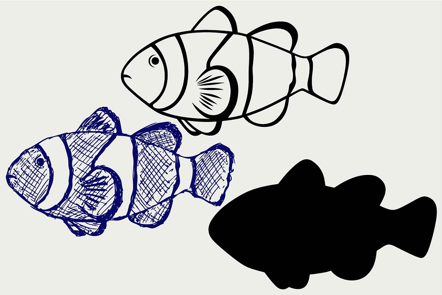 Tropical reef fish SVG
