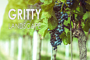11 Gritty Landscape Presets