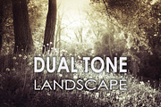 25 Dual Tone Landscape Presets