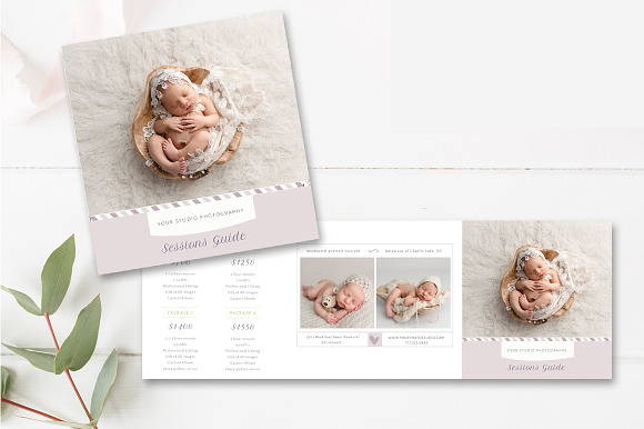 Photographer Accordion Trifold  in Brochure Templates - product preview 1