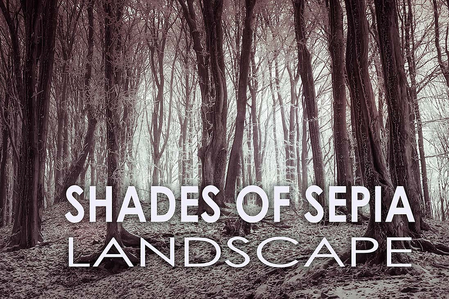 10 Shades of Sepia Landscape Presets