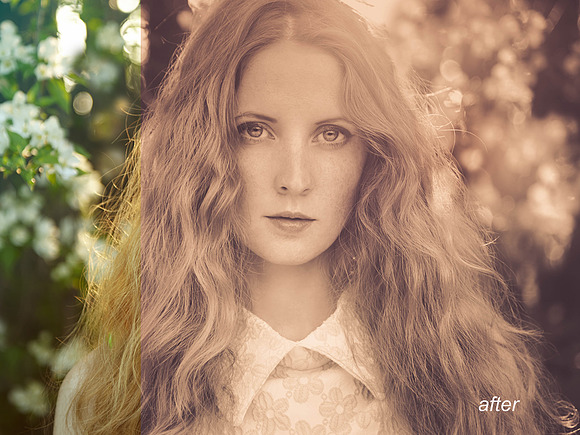16 Faded Sepia Matte Portrait Preset in Add-Ons - product preview 1