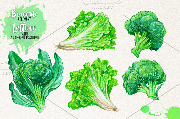 Watercolor Vegetables, Herbs, Green in Illustrations - product preview 1