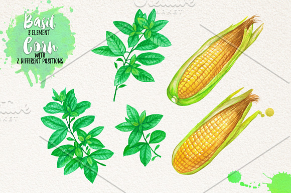 Watercolor Vegetables, Herbs, Green in Illustrations - product preview 3