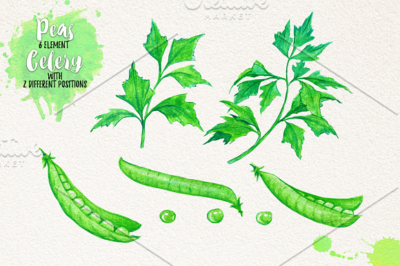 Watercolor Vegetables, Herbs, Green in Illustrations - product preview 5
