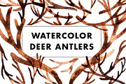 Watercolor Deer Antlers