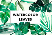 Watercolor tropical jungle leaves