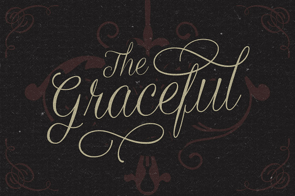 Graceful in Twitter Fonts - product preview 4