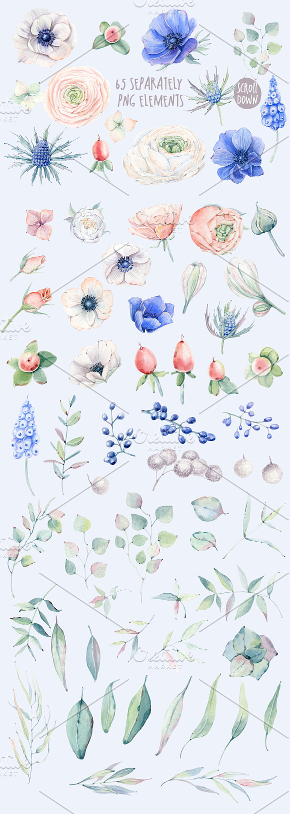 BLOOMING MYSTERY Watercolor set in Illustrations - product preview 2