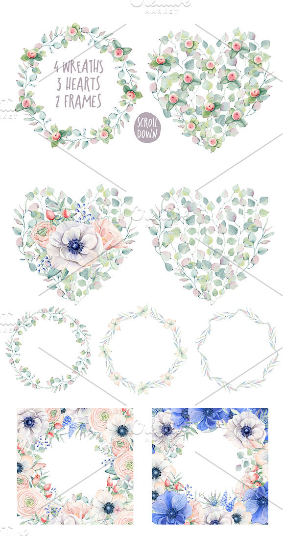 BLOOMING MYSTERY Watercolor set in Illustrations - product preview 3