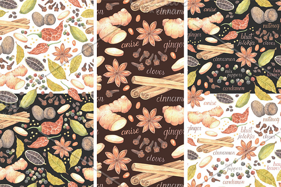 Watercolor spices collection. in Illustrations - product preview 1