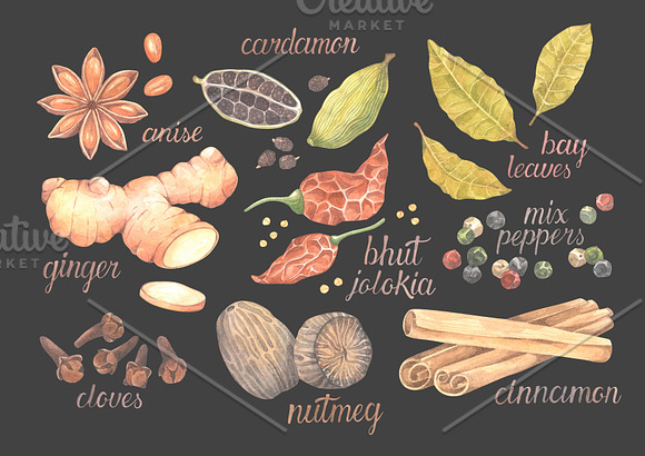 Watercolor spices collection. in Illustrations - product preview 2