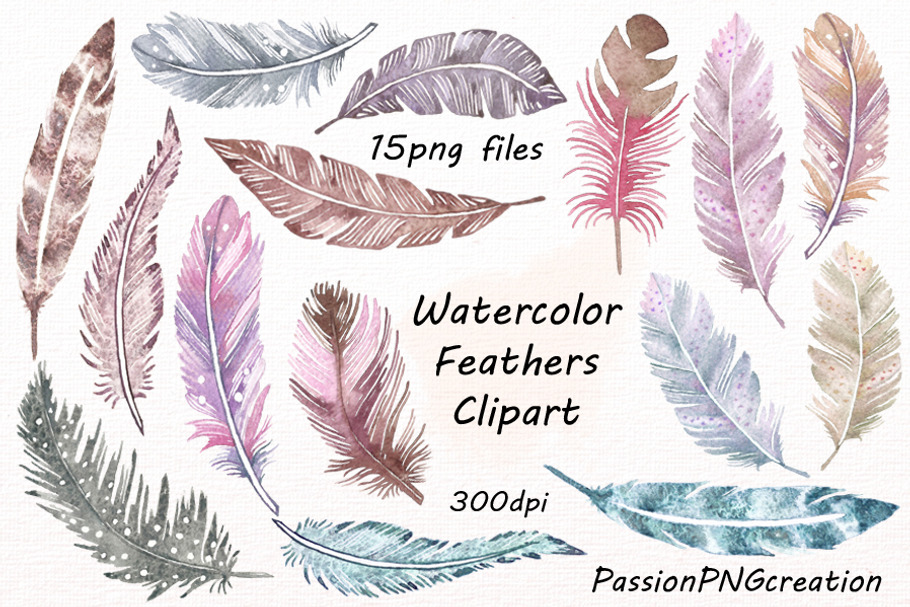 Watercolor Feathers Clipart in Illustrations - product preview 8