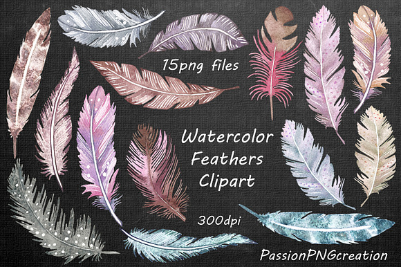 Watercolor Feathers Clipart in Illustrations - product preview 1