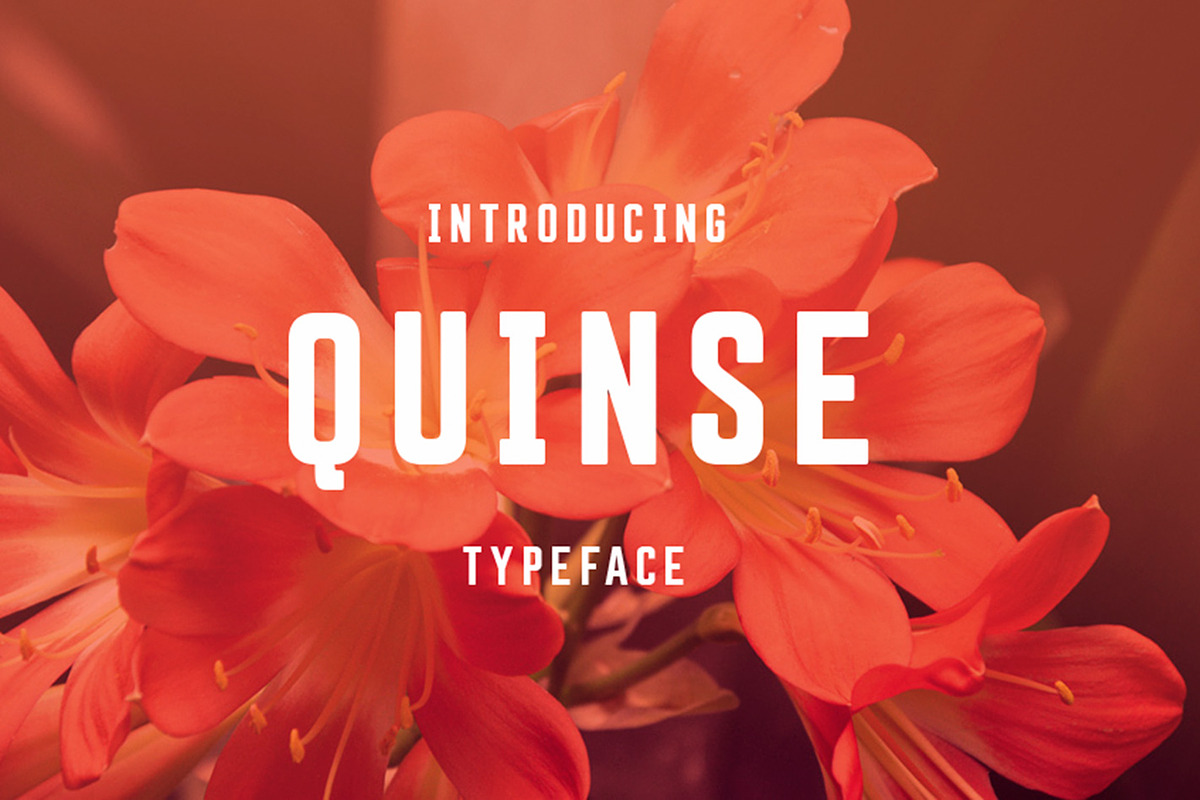 Quinse Font in Display Fonts - product preview 8